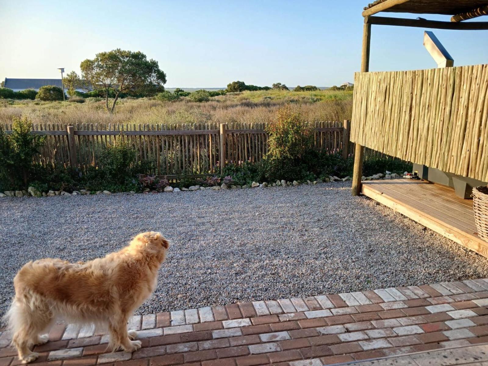 Camelot Cottages Langebaan Exteriér fotografie