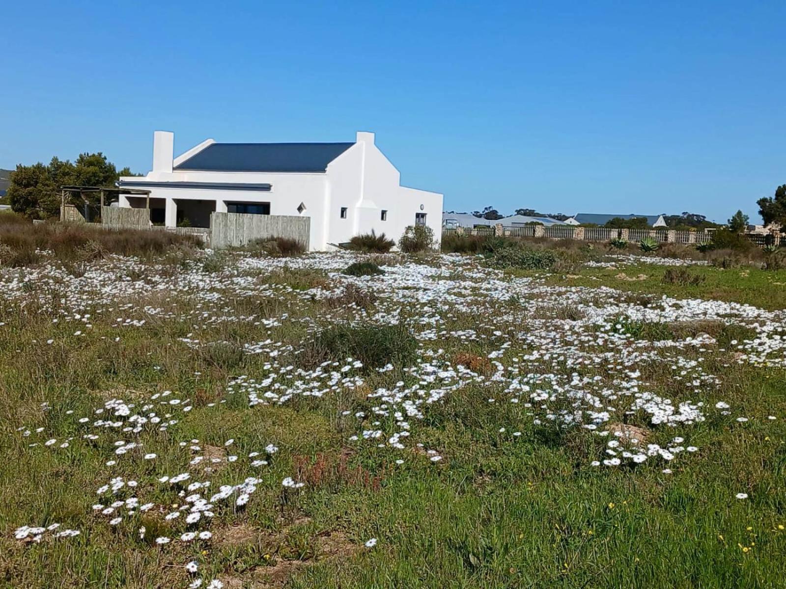 Camelot Cottages Langebaan Exteriér fotografie