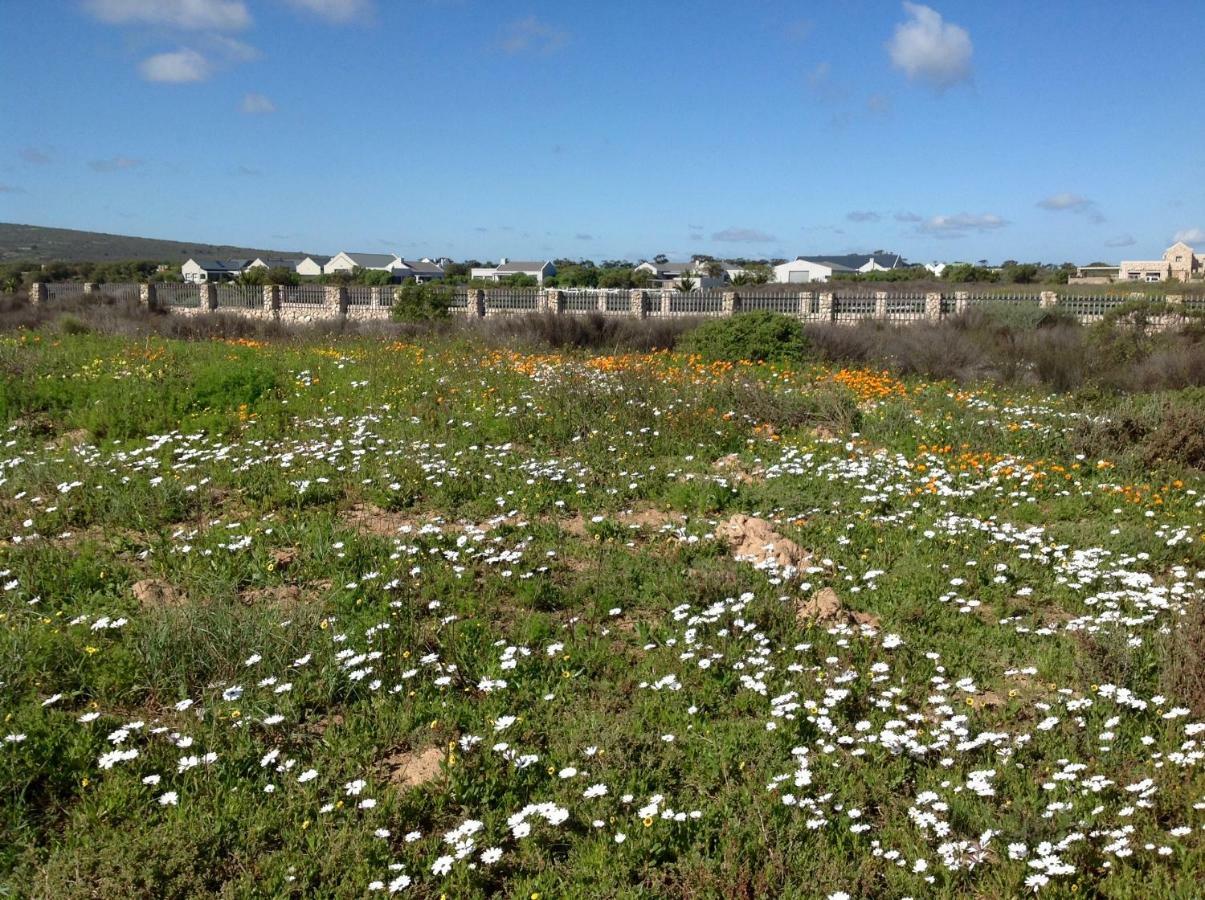 Camelot Cottages Langebaan Exteriér fotografie